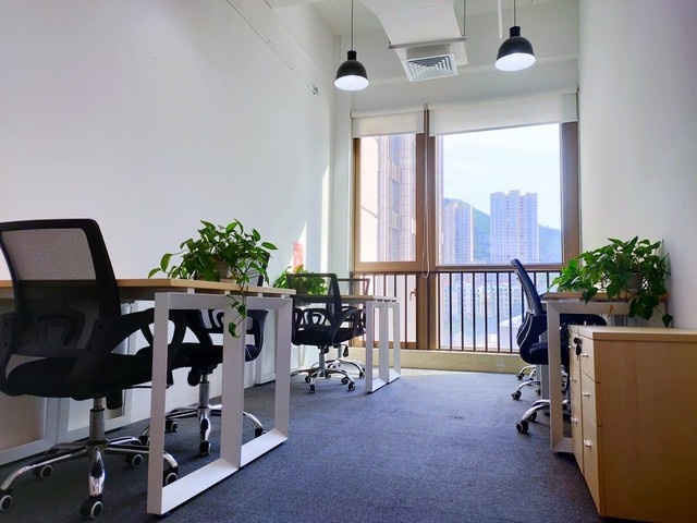 DNA病毒测序进化分析价格